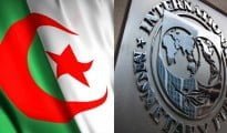 FMI hydrocarbures de l'Algérie