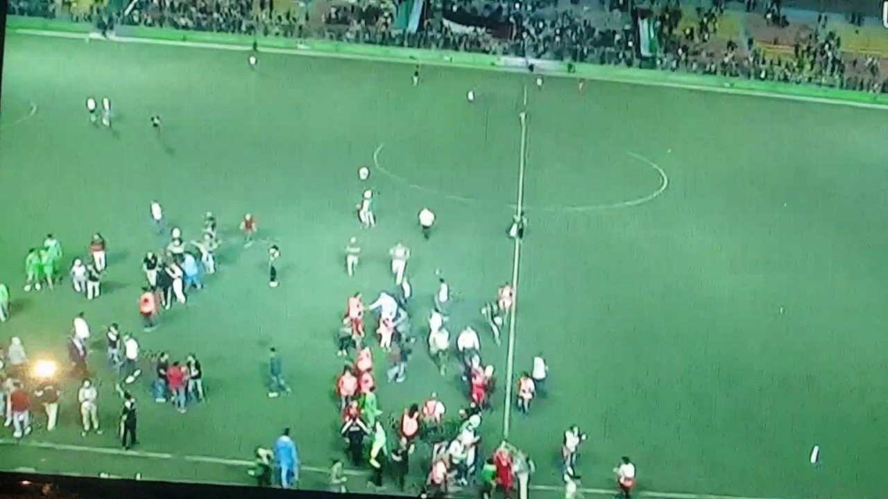 لاعب المنتخب الفلسطيني يرفع علم الجزائر فرحا بالفوز