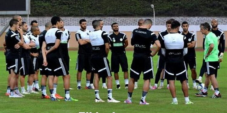 Algérie/Côte d'Ivoire (1/4 de finale): les Verts à une marche du dernier carré 1