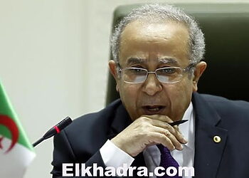 Ramtane Lamamra : l’Algérie a toujours œuvré pour la paix en Afrique 14