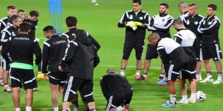 Qatar-Algérie (amical): un bon test pour le début d'une nouvelle ère 1