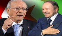 Attaque contre le musée du Bardo à Tunis : Bouteflika souligne le soutien " ferme" de l'Algérie à la Tunisie 6 Attaque contre le musée du Bardo à Tunis : Bouteflika souligne le soutien " ferme" de l'Algérie à la Tunisie 4
