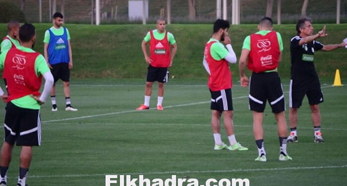 الاعبون لا يطيعونه:ڤوركوف أوقف حصة أمس، صرخ في وجه لاعبيه وغادر غاضبا 1