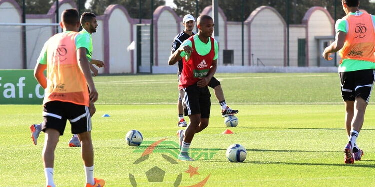 Algérie- Seychelles : Photos Deuxième jour de stage pour les verts 1