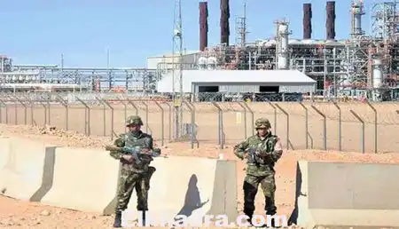 Daech :L’Algérie, pays le moins touché dans le monde par le recrutement terroriste