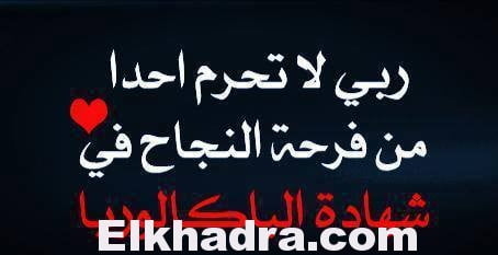 نتائج بكالوريا 2015:النتائج الأولية تشير الى ان أكثر من 65 في المائة تحصلوا على معدل 10 1