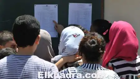 هذا كل ما يجب أن يعرفه التلميذ الناجح في « BEM 2015 »