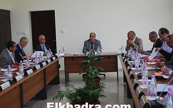الفاف تعلن أسماء الأندية المشاركة في المسابقات الإفريقية الموسم المقبل 1