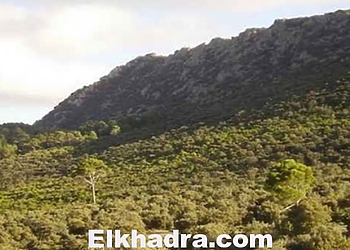 مسلحان يهاجمان مقر الأمن بدراع بن خدة في تيزي وزو 1