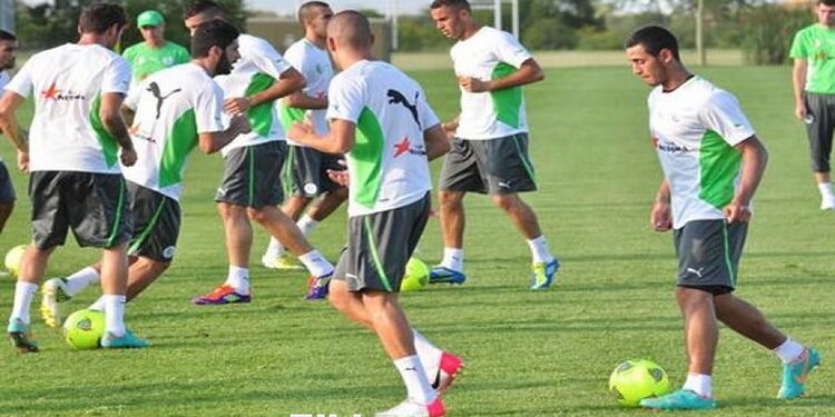 CAN 2017 (qualifications) : la FAF arrête le programme du stage de Elkhadra à Pretoria 1