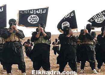 الجيش الجزائري قضى على داعش في مهدها ولا سلطة للتنظيم في الجزائـر 2