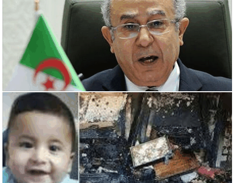 الجزائر تدين بشدة جريمة حرق صهاينة لرضيع فلسطيني بنابلس 1