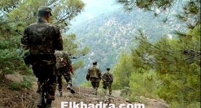 Découverte d'une casemate et de deux ateliers de fabrication de bombes artisanales à Jijel (MDN) 1