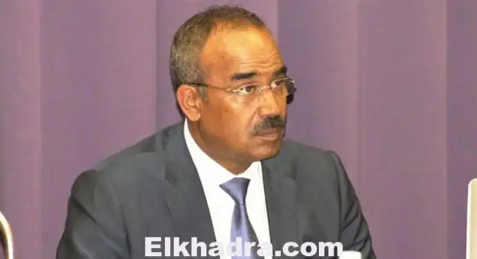 بدوي شمّروا على سواعدكم ولا تنتظروا خزينة الدولة لتمويل المشاريع في الولايات