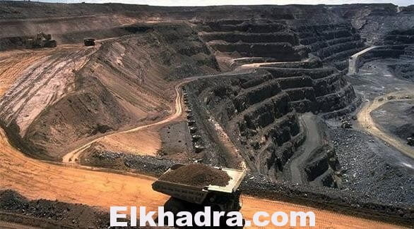ثعبانان نادران يعرقلان افتتاح مشروع تكلفته 11.7 مليار دولار.. 1
