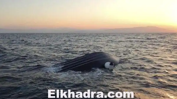 « الحراقة » | حمزة .. 9 ساعات في مصارعة الموت متعلقا مع والدته بقطعة خشبية في البحرالأبيض المتوسط
