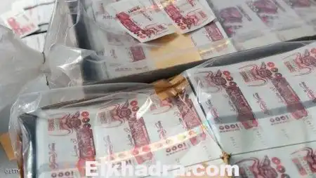 شركات خاصة كبرى متورطة في تهريب ملايين الدولارات..