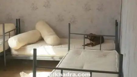 صور صادمة لاقامة جامعية بتلمسان