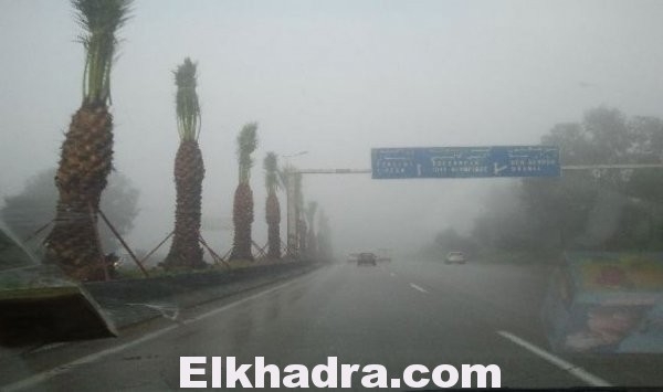 ديوان الأرصاد الجوية يحذّر من أمطار طوفانية تمس 28 ولاية اليوم الثلاثاء 1