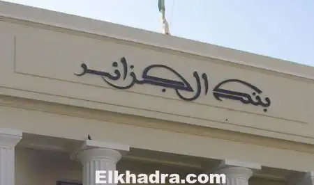 لكصاصي يدق ناقوس الخطر: أموال الجزائريين تتآكل بشكل كبير
