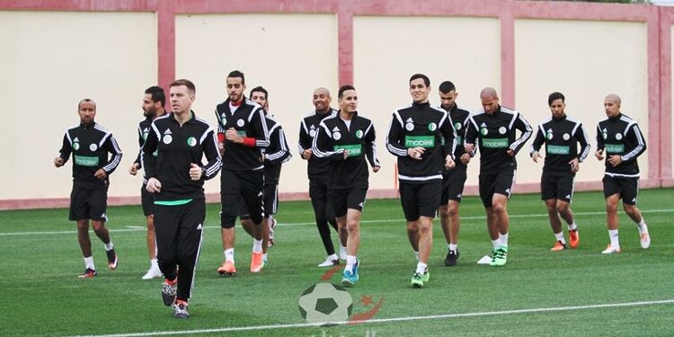 Algérie - Éthiopie : Photos Avant-match Élim CAN2017 1