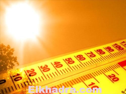 meteo dz