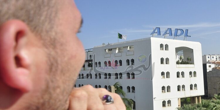 AADL, LPP, LPL, LSP : distribution de 20 000 logements en juin à Alger 1