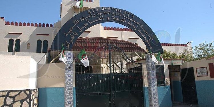 سبعة أشخاص من بينهم ثلاثة أفراد من عائلة واحدة ومحامية وضعوا رهن الحبس بعد فرار بارون مخدرات من سجن الحراش 1