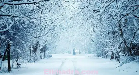أمطار وثلوج بالولايات الشمالية بدءا من مساء الغد