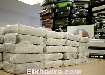 Bedoui: «La mafia de la drogue menace la stabilité de l’Algérie» 9