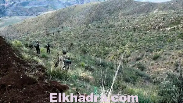 Lutte antiterroriste: sept casemates et deux bombes détruites à Médéa (MDN)