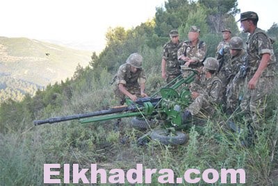 armée dz