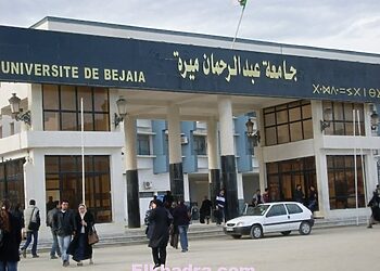 Universités Algérie :Les moyennes d’admission à certaines filières revues à la hausse 1