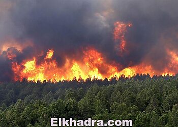 Incendies de forêt : près de 200 hectares partis en fumée ce vendredi dans 18 wilayas 8