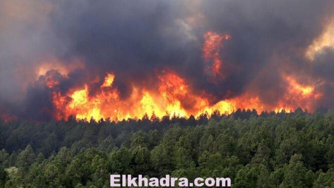 Incendies de forêt