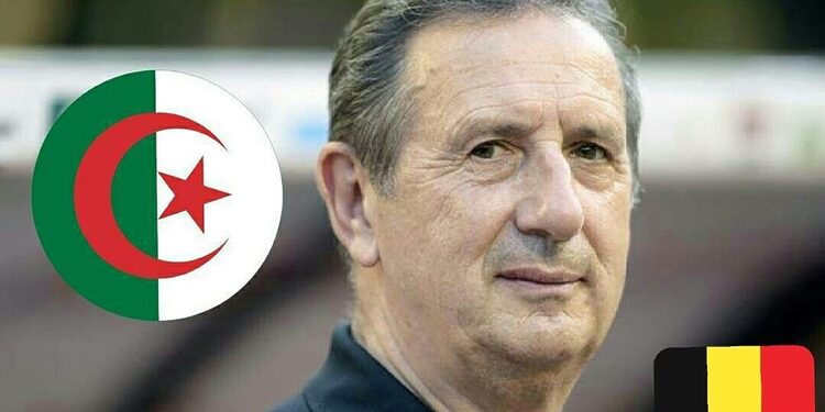 Officiel: Georges Leekens est le nouveau selectionneur de l'Algérie 1