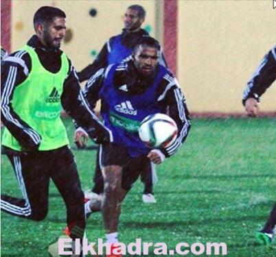 Nigeria-Algerie : Déclarations de joueurs : « nous devons réagir et capables de ramener un résultat de Uyo » 2 Nigeria-Algerie