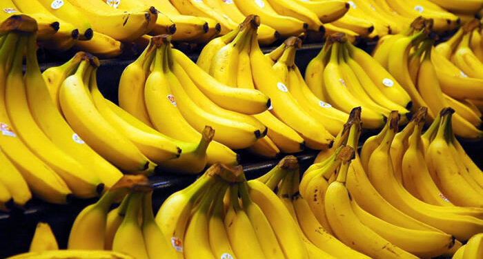 L’Importation de la banane suspendue 1