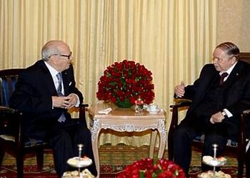 Le président Bouteflika s'entretient avec son homologue tunisien 3