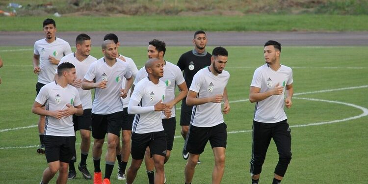 EN: Brahimi, Meftah, Slimani et Bensebaïni incertains 1