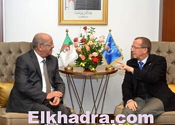 Crise en Libye : Messahel réitère la position de l'Algérie pour un «dialogue politique inclusif» 19