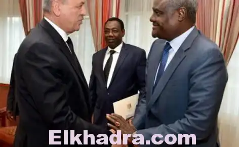 28ème sommet de l’UA : le président Bouteflika élu vice-président, le tchadien Faki Mahamat élu président de la commission