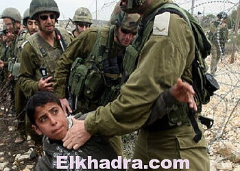22 Palestiniens arrêtés par l’armée israélienne 3