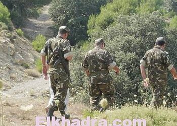 Tizi Ouzou : Neuf terroristes neutralisés à Azeffoun 9