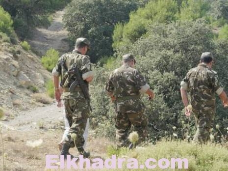 Tizi Ouzou : Neuf terroristes neutralisés à Azeffoun 1