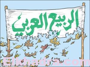الجزائريون يعارضون "الربيع العربي" بالأغلبية الساحقة 2