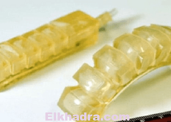 ابتكار روبوت "صالح للأكل" ينقل الدواء إلى جسم الإنسان 17