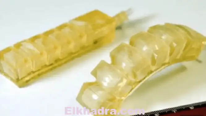 ابتكار روبوت « صالح للأكل » ينقل الدواء إلى جسم الإنسان