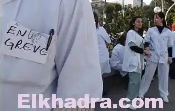 TIZI OUZOU Les étudiants en pharmacie mettent fin à leur grève