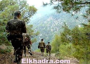 Découverte à Tizi Ouzou d'une cache de munitions contenant 8 obus 4